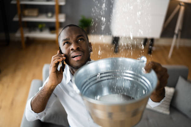 Best Mold removal after water damage  in Booker, TX