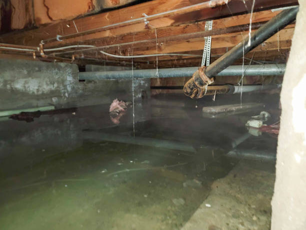 Best Water damage restoration company  in Booker, TX