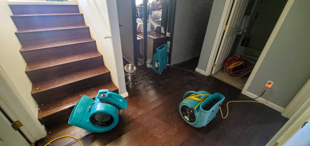 Best Water damage restoration specialists  in Booker, TX