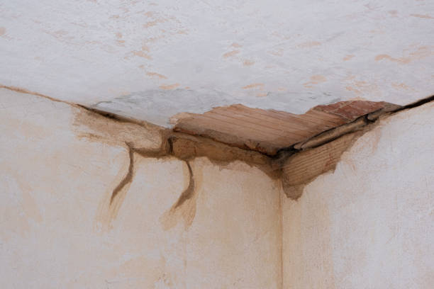 Best Local water damage restoration  in Booker, TX