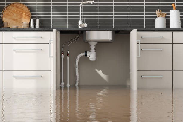 Best Flood damage cleanup  in Booker, TX