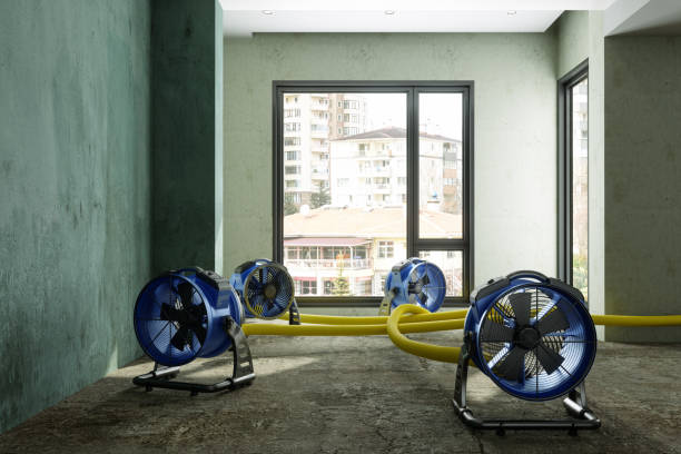 Best Commercial water damage restoration  in Booker, TX