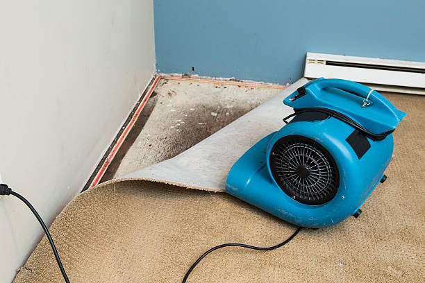 Best Carpet water damage restoration  in Booker, TX